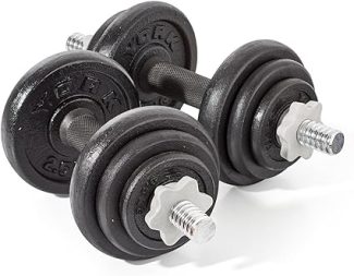 Pair of black adjustable dumbbells with metal rods on white background, ideal for home gym weightlifting and strength training
